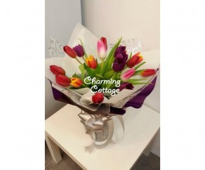 special tulips