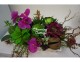succulents and purple orchid