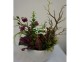 succulents in white round vase