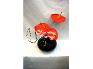 Red Anthurium