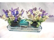 lavender with charcoal