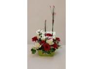 raya flowers-red & white flowers